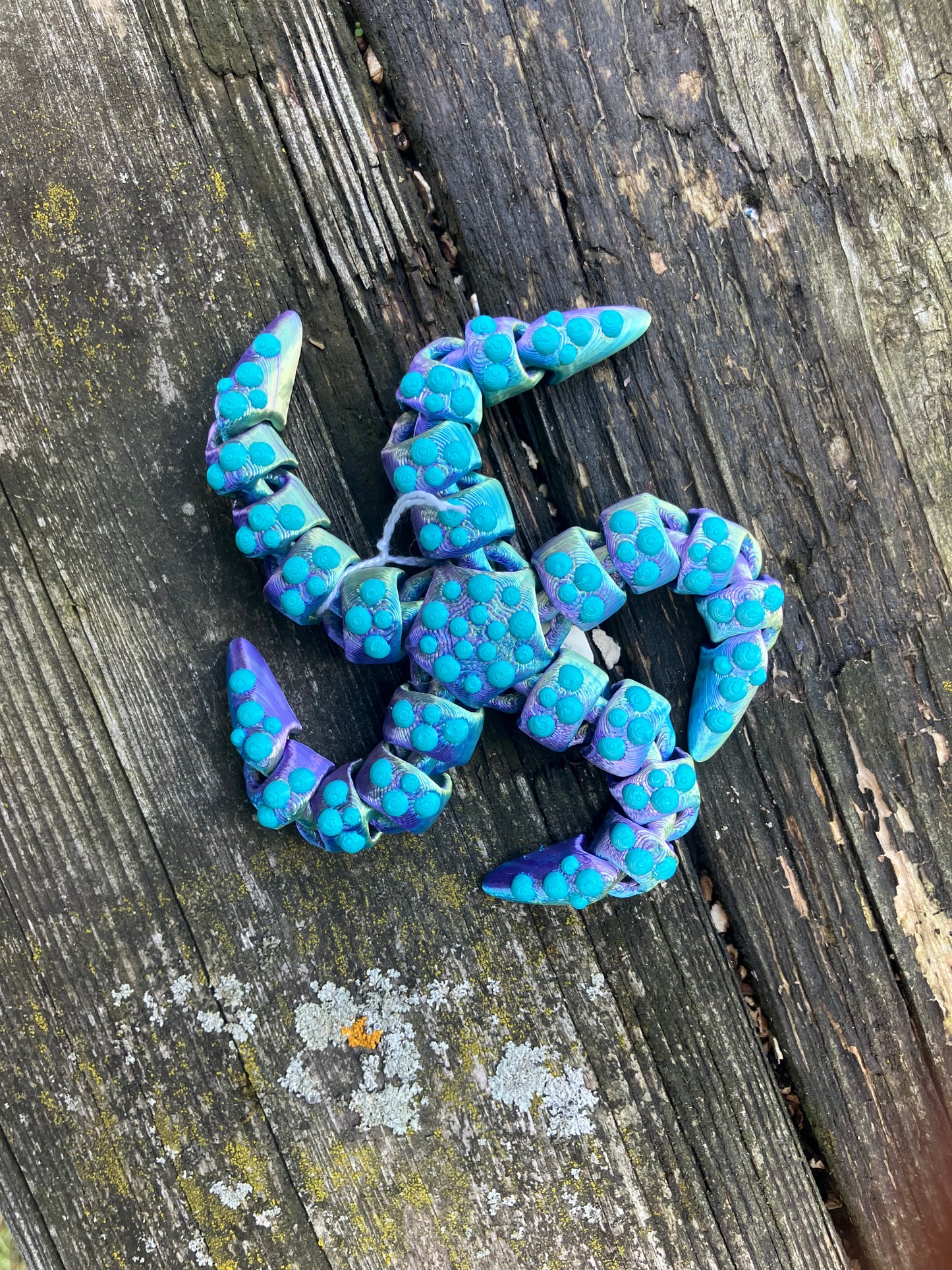 Tiny Flexi Starfish Full Color