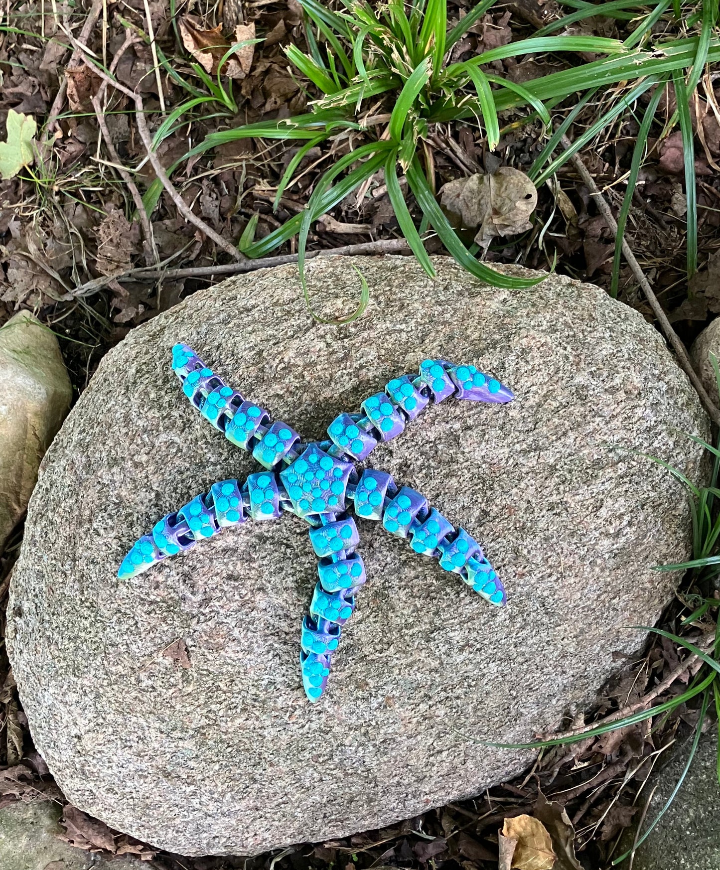 Tiny Flexi Starfish Full Color